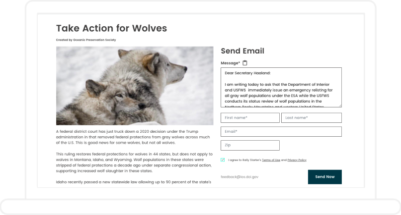 screenshot of Rally Starter